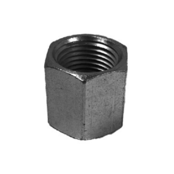 Malleable Iron Steel Hex Caps Class 150<br />
