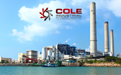 Cole Industrial: The Trusted Name in Power Plant PVF Products